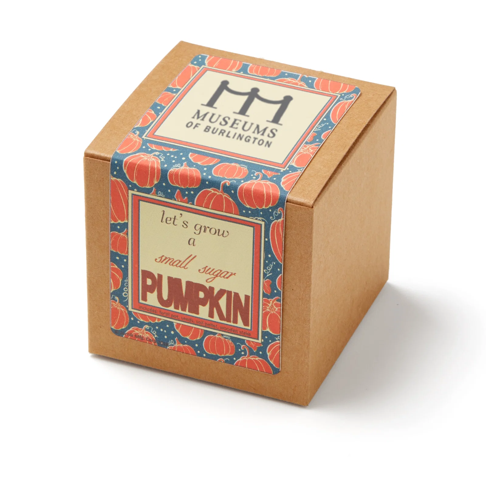 Small Sugar Pumpkin Growables Planter in Kraft Gift Box — view 2