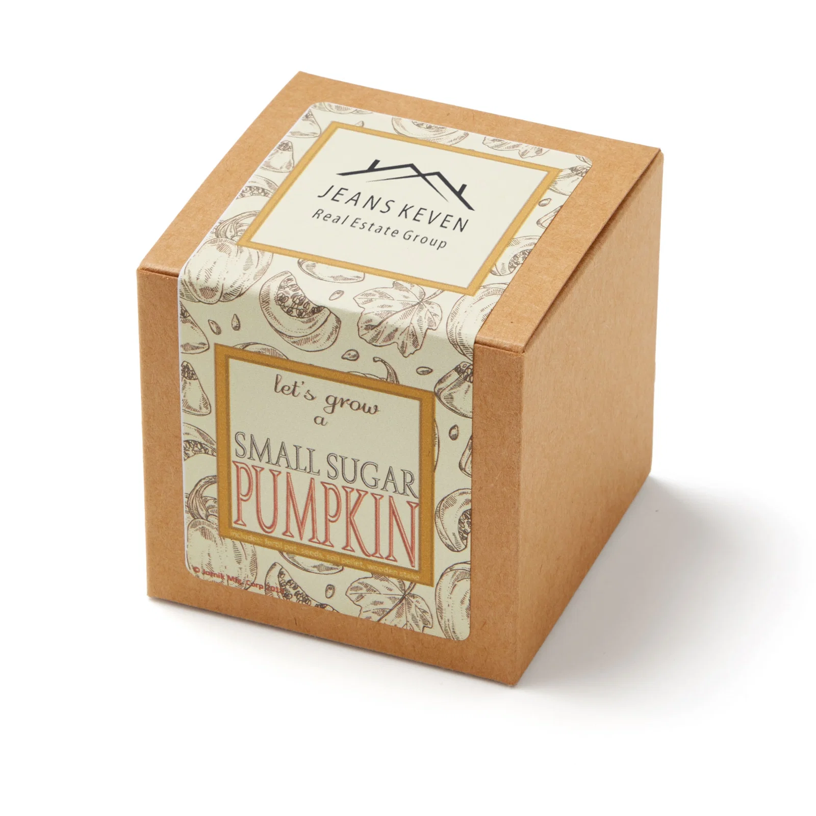 Small Sugar Pumpkin Growables Planter in Kraft Gift Box — view 3