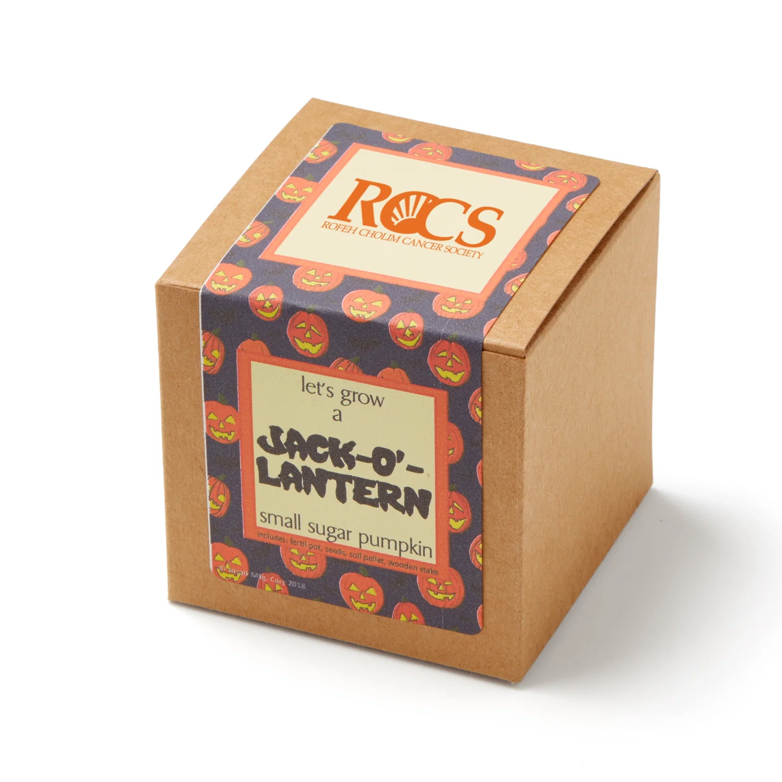 Small Sugar Pumpkin Growables Planter in Kraft Gift Box — view 4