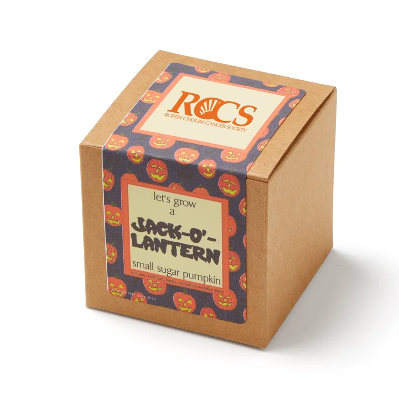 Small Sugar Pumpkin Growables Planter in Kraft Gift Box — view 4