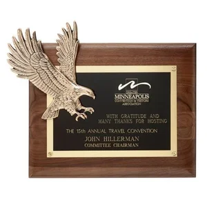 Antique Bronze Eagle Wall Plaque, Eagle Set Above Brass Plate