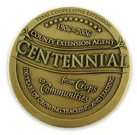 Solid Brass Die Struck Paperweight Up To 3"