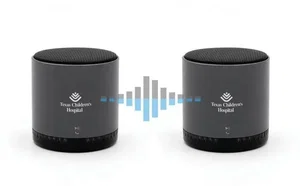 Logo Soundstream TWS