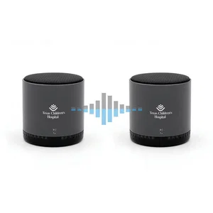 Soundstream Pair of Wireless Stereo Speakers