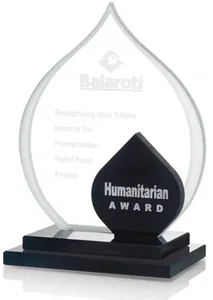 Southwell Award