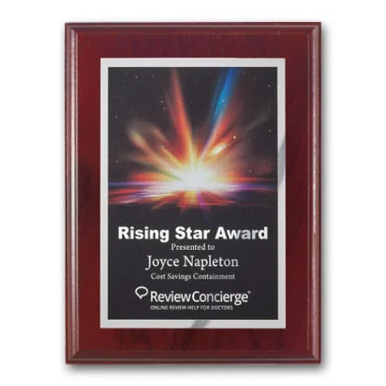 Custom Full Color Silver Plate Plaque on Mahogany Walnut for sales achievement awards
