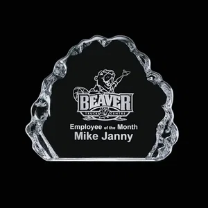 Spence Iceberg Award