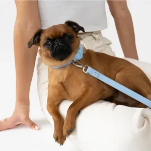 Spring Dog Leash