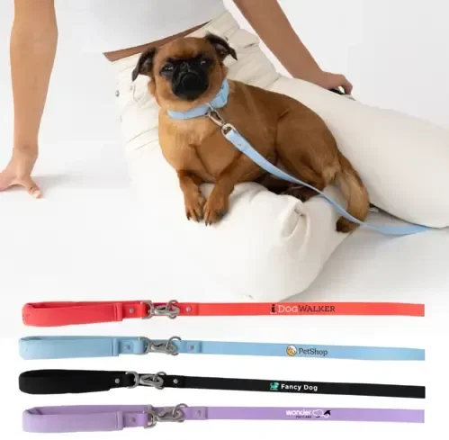 Spring Dog Leash shown in a real setting