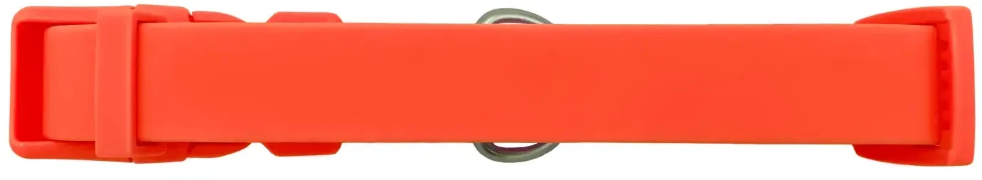Springer Dog Collar — view 2