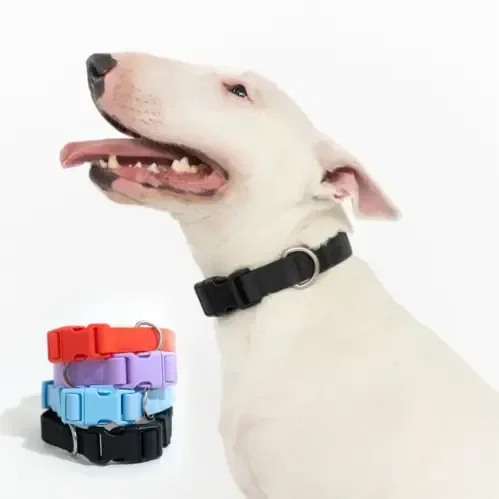 Springer Dog Collar — view 11
