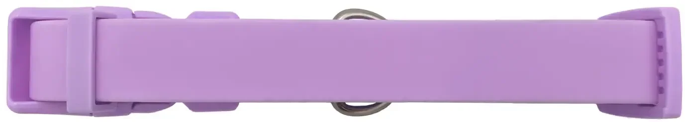 Springer Dog Collar — view 4