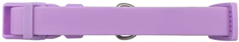 Springer Dog Collar — view 4