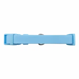 Springer Dog Collar