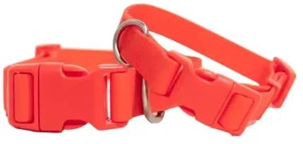 Springer Dog Collar — view 7