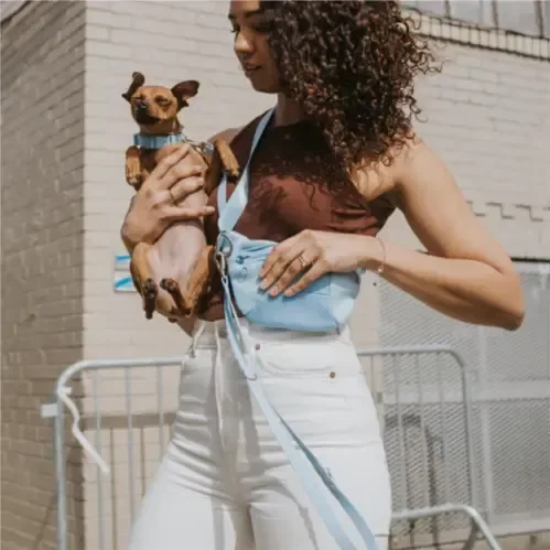 Springer Sling Bag + Dog Leash being worn