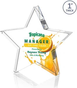 Standing Star Award