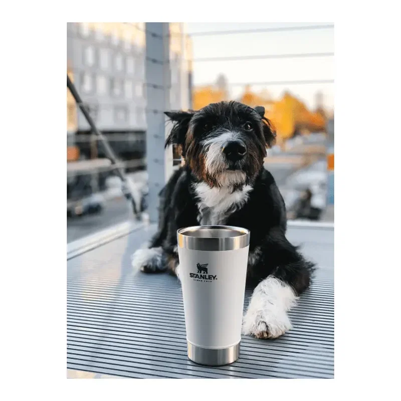 Stanley Stay-Chill Stacking Pint 16oz — view 13