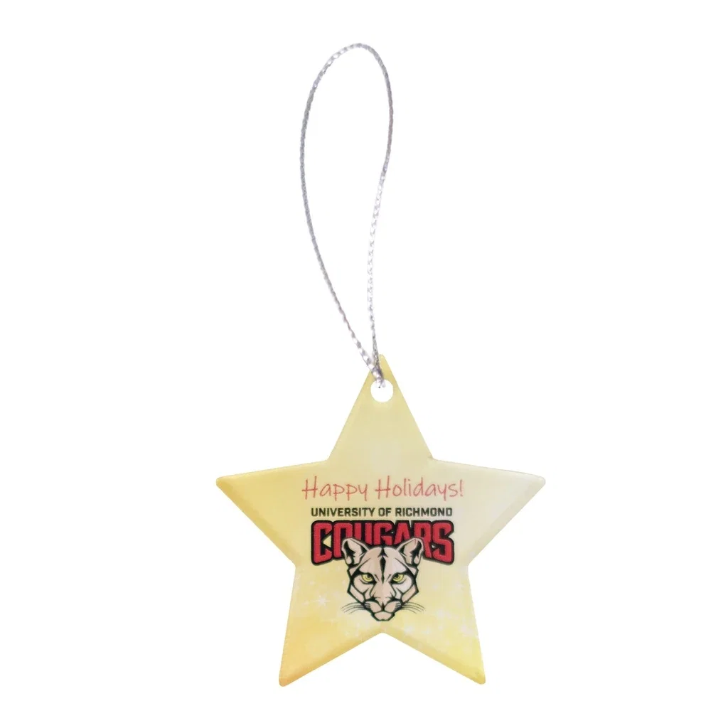 Star Acrylic Ornament — Clear