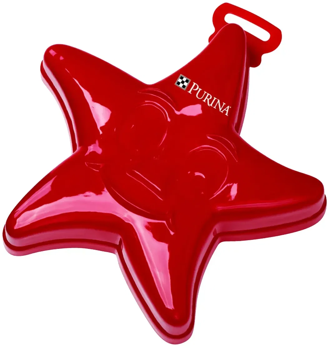 Imprinted Starfish Sand Mold — view 2