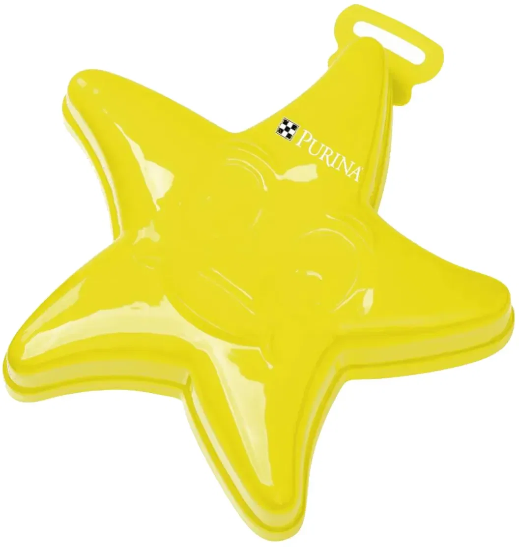 Imprinted Starfish Sand Mold — view 3