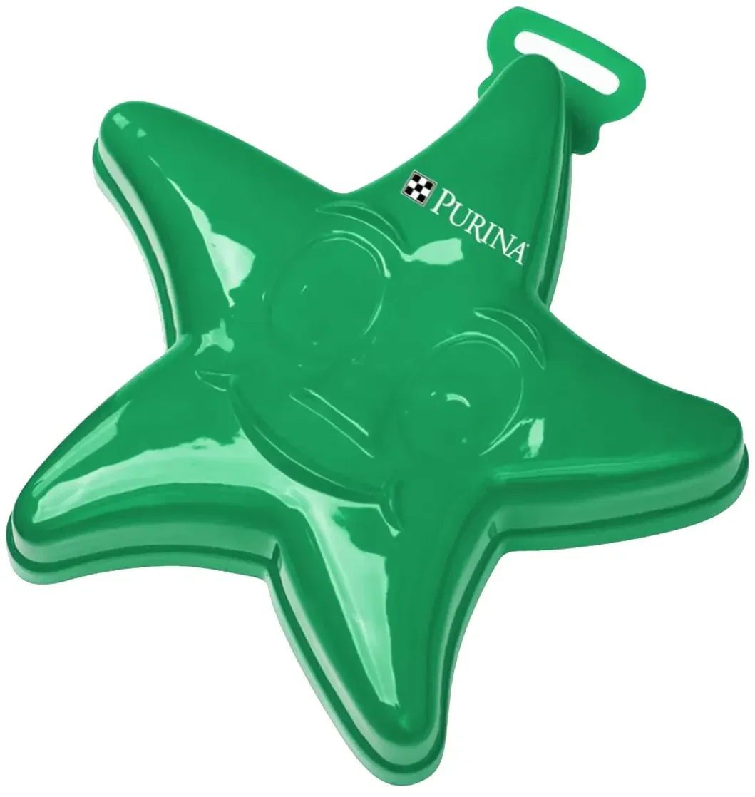 Imprinted Starfish Sand Mold — view 4