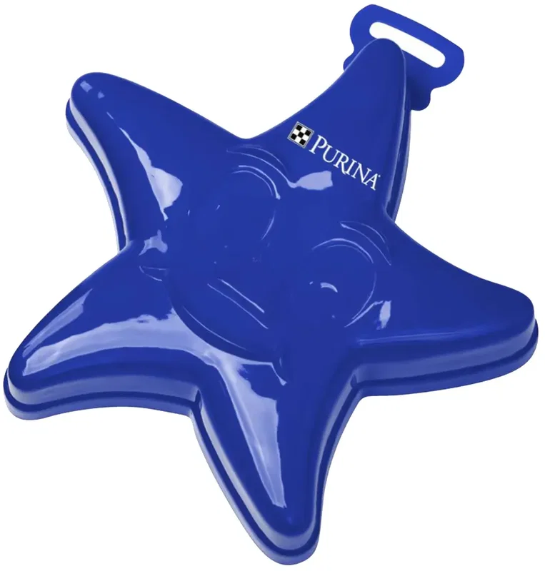 Imprinted Starfish Sand Mold — view 5