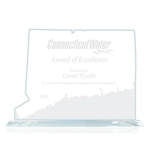 Jade Glass Connecticut State Map Award