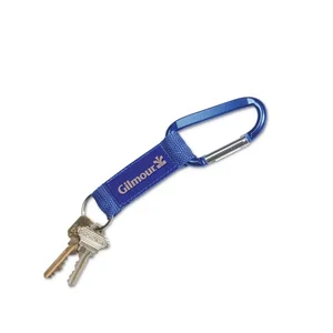 Customized Steel Carabiner Key Tag