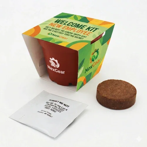 Terra cotta petite planter growing herbs, polypropylene promotional seed kit