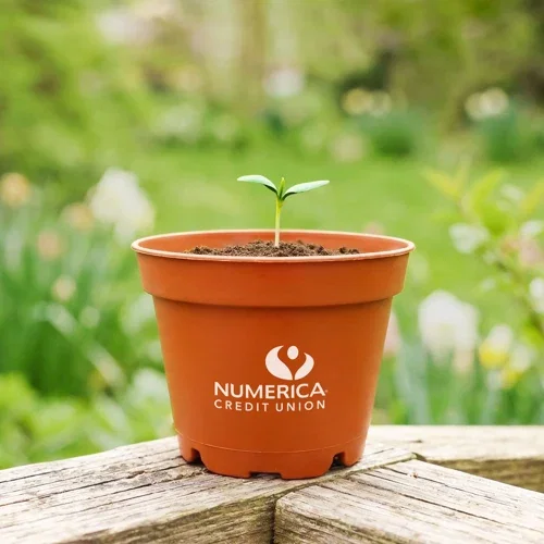 Terra cotta Wee planter seed kit in presentation sleeve, promotional grow kit