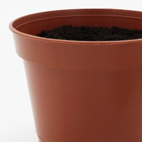 Wee planter seed kit presentation sleeve with stock artwork, promotional grow kit