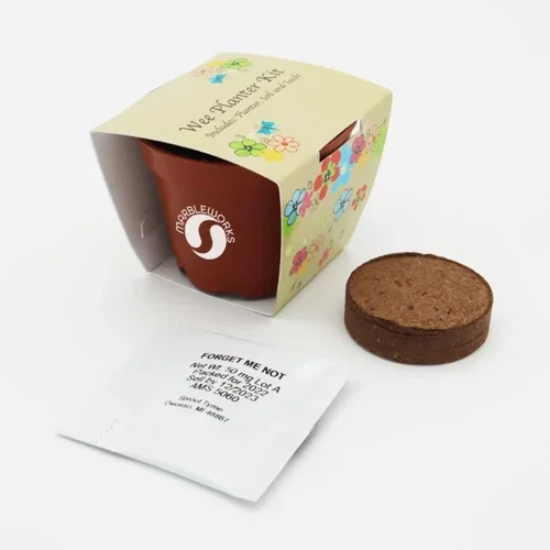 Terra cotta Wee planter seed kit with flowers, promotional sprout grow kit