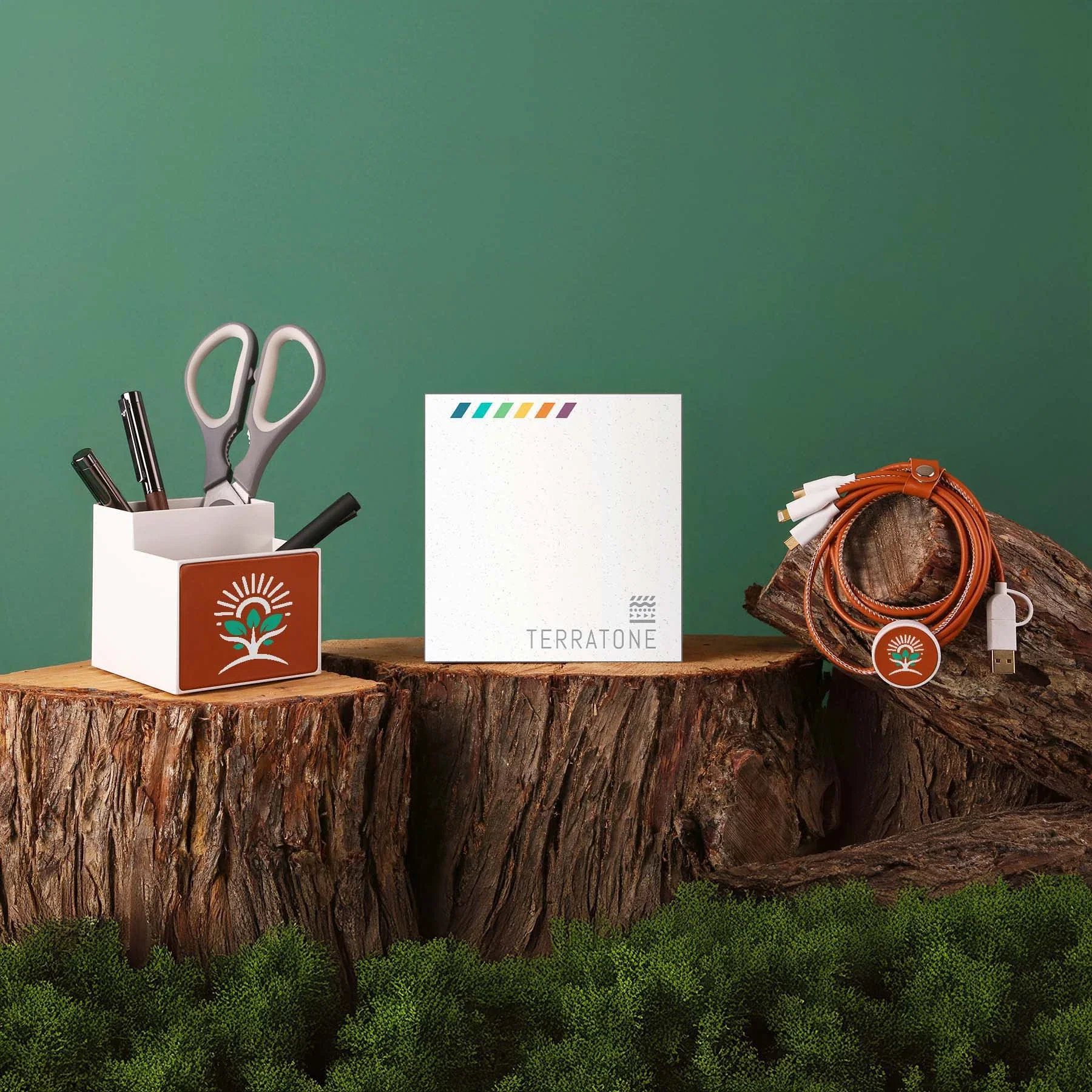 TerraTone Organize & Energize Kit