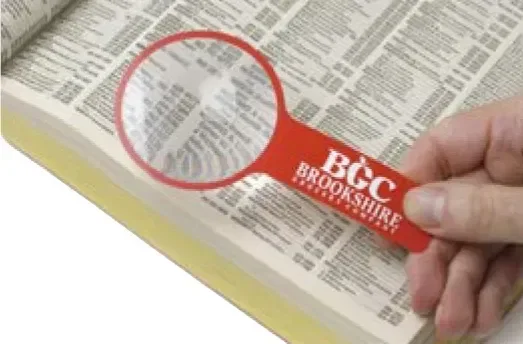 Custom Inspector Magnifier — view 3