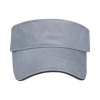 The Visor — view 4