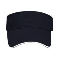 The Visor — view 6