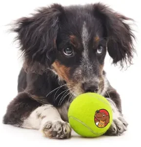 Customized Toy Tennis Balls