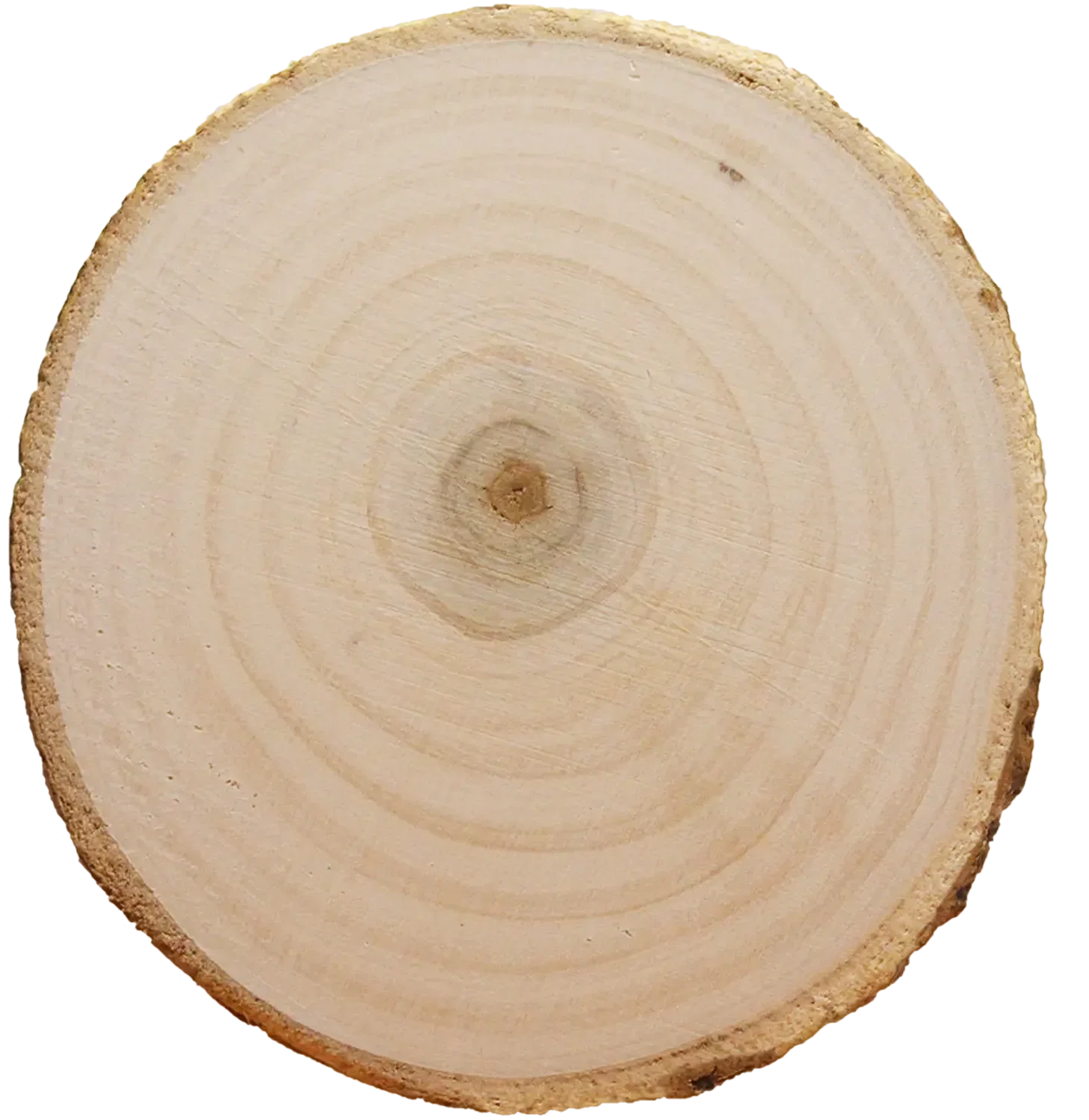 Tree Bark Coaster — view 2