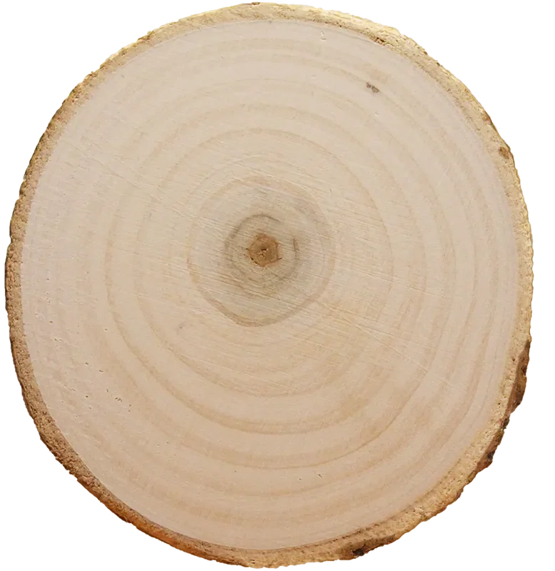 Tree Bark Coaster — view 2