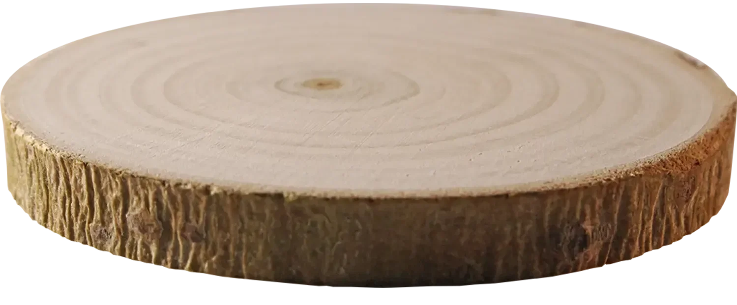 Tree Bark Coaster — view 3
