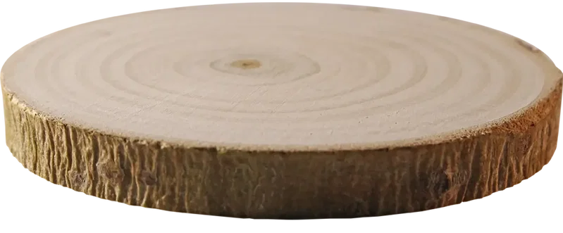 Tree Bark Coaster — view 3