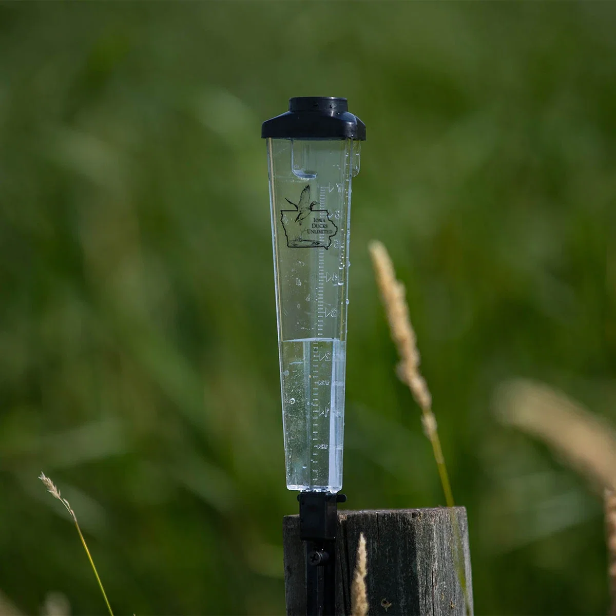 Triangle Rain Gauge — view 2