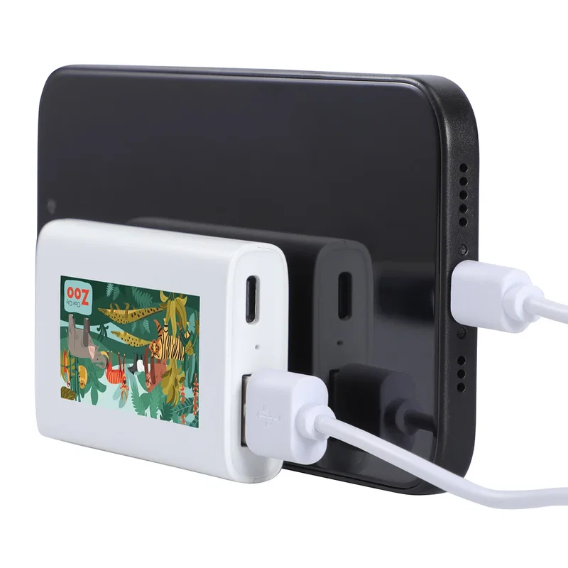 Back view of the Triumph 2000mAh UL-Listed Power Bank