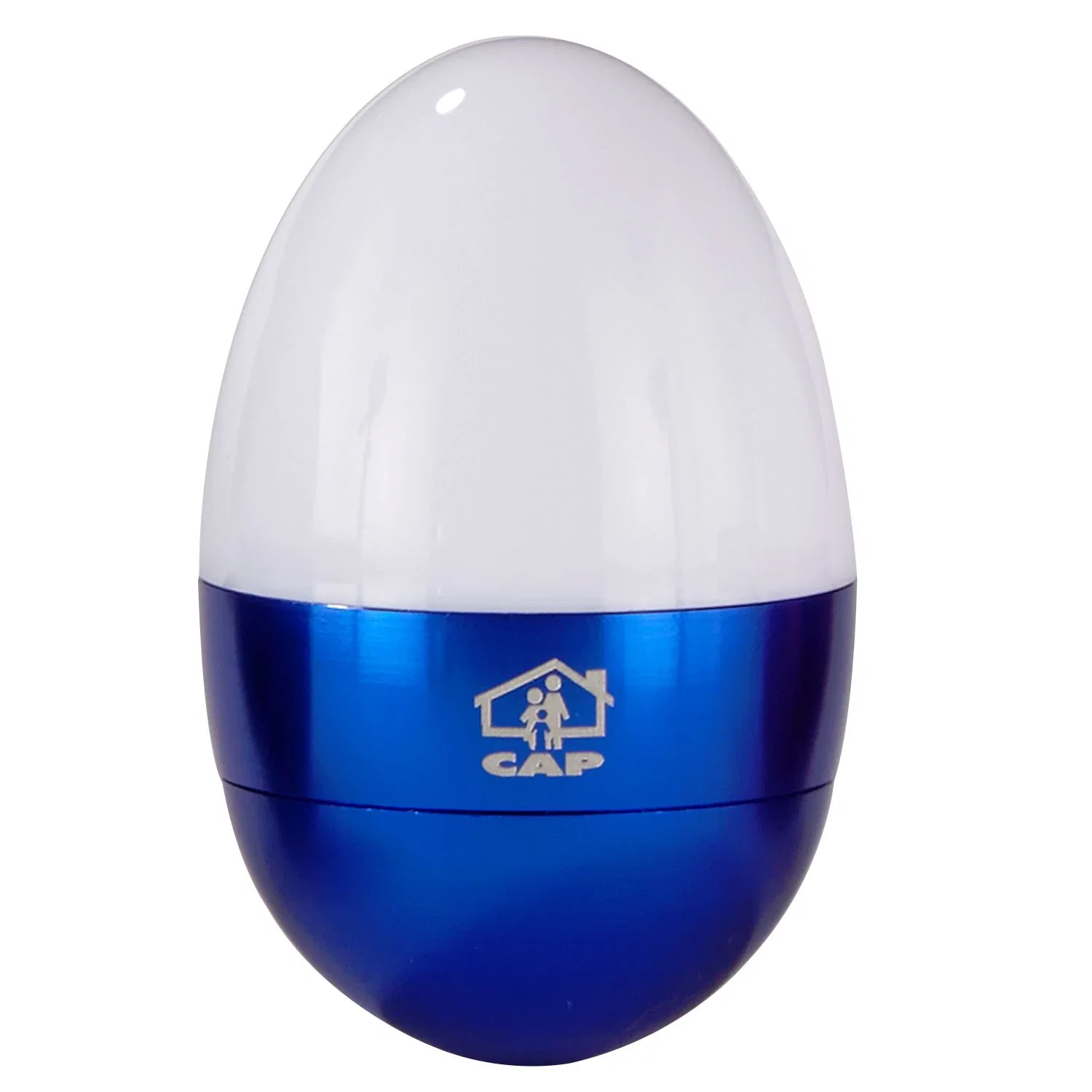 Logo Tumbling Torch — Blue — view 2