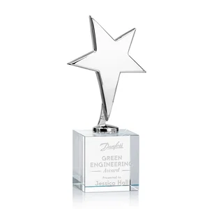 Cast Metal Star Award on Optical Crystal Base