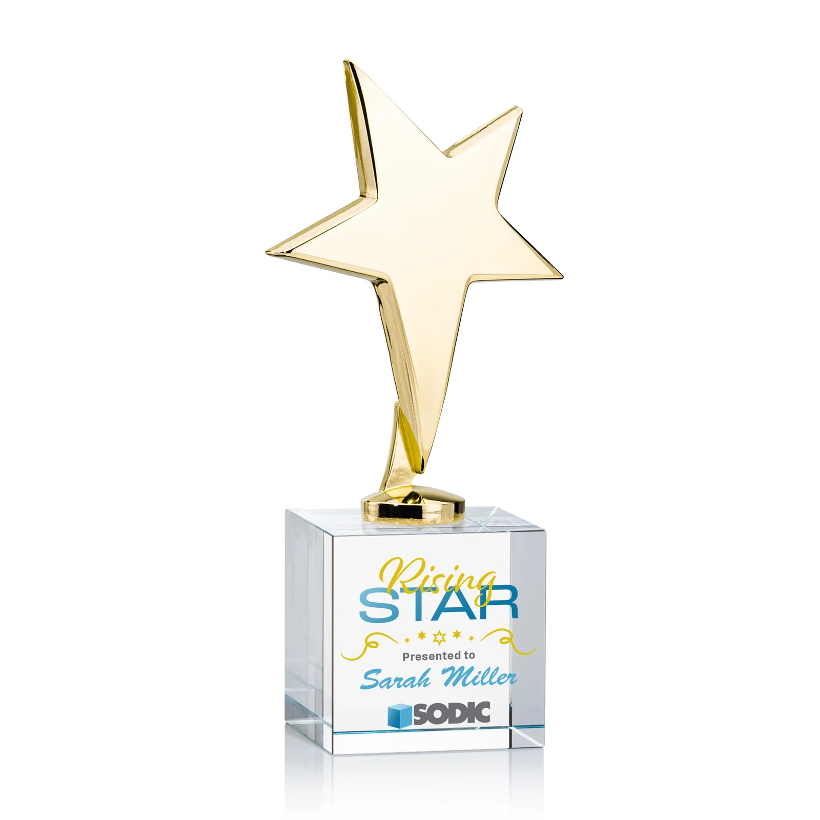 Custom Cast Metal Star Award on Optical Crystal Base for retirement presentations
