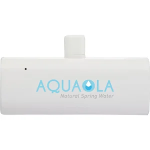 UL Listed 2,200 mAh Power Bank with Type-C Tip