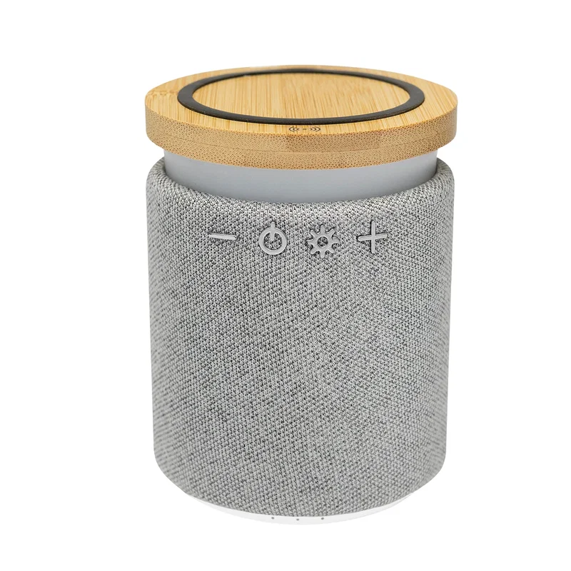 Two style choices offered in this speaker and charger set