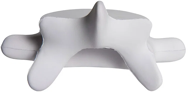 Personalized Vertebrae Stress Reliever — view 4